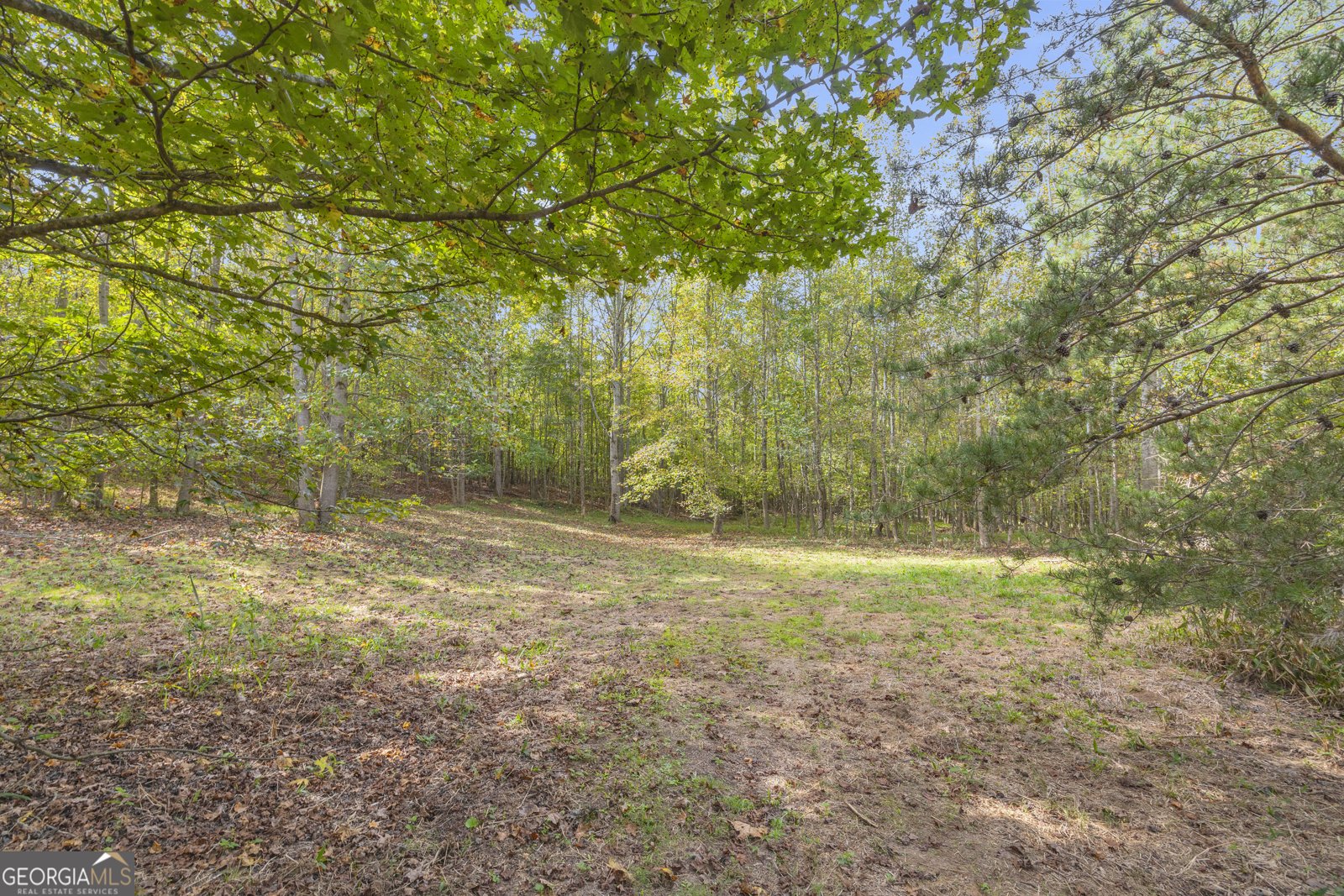 438 Turner Road Cleveland - 89