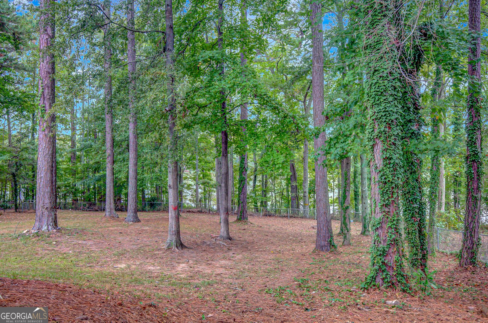 171 Wynnmeade Parkway Peachtree City - 39