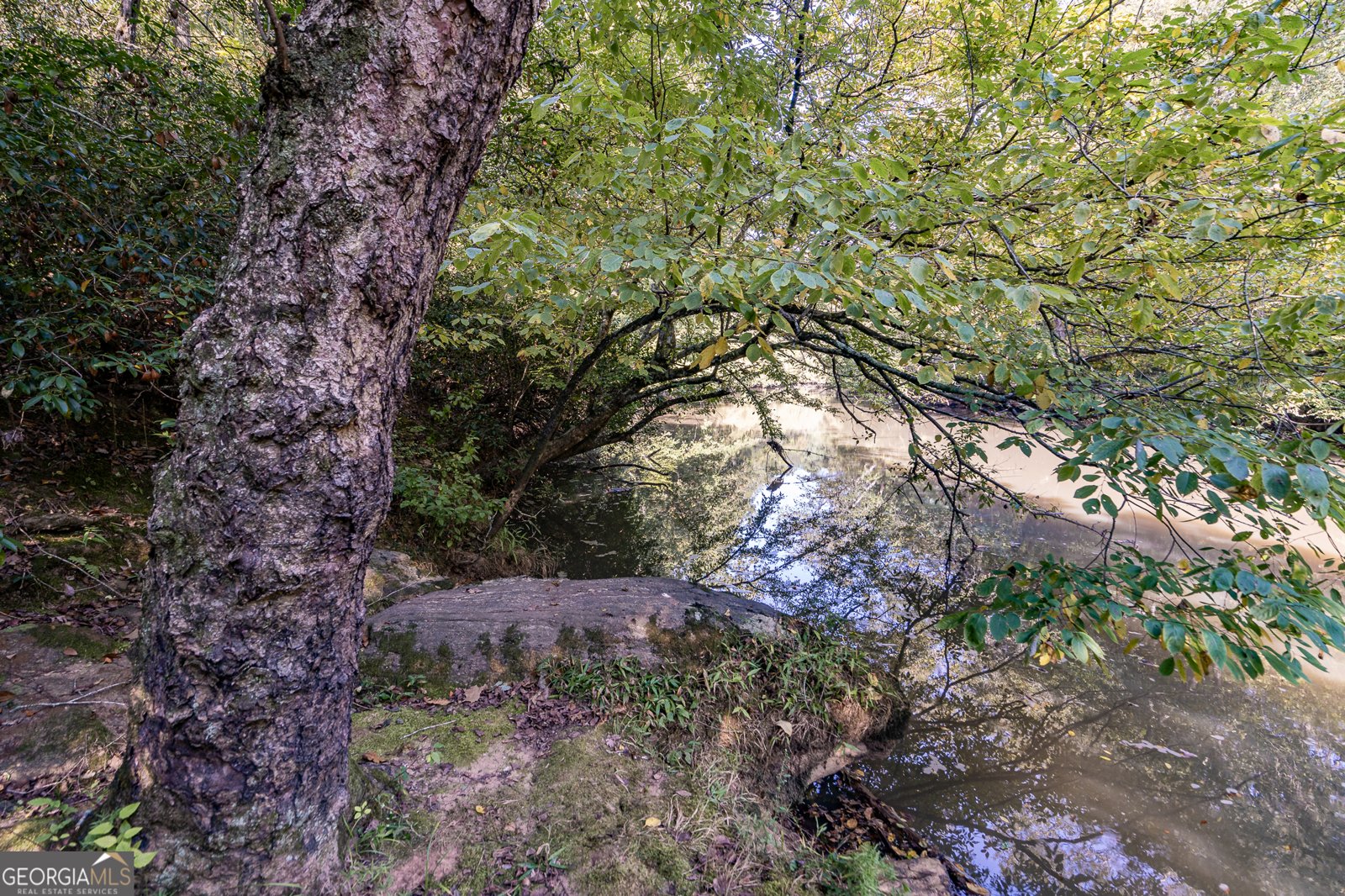 1070 Riverwalk Point Bishop - 27