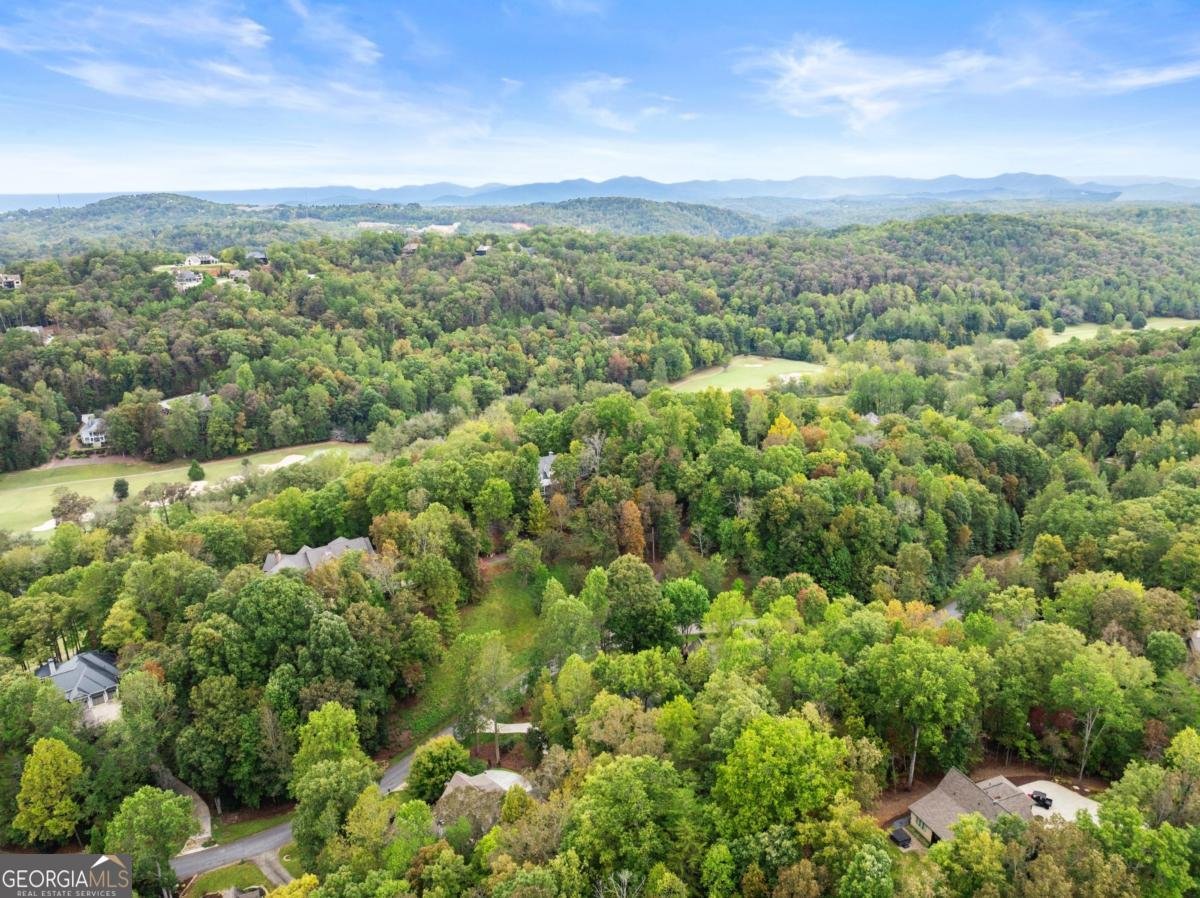 1364 Birch River Drive Dahlonega - 44