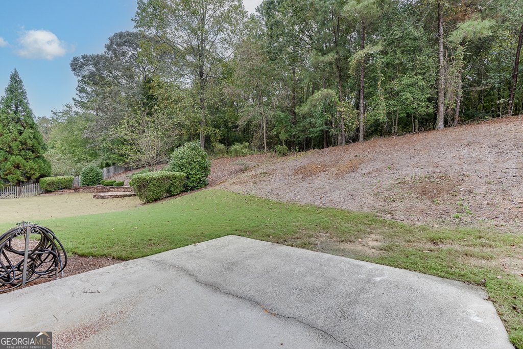 3265 Thimbleberry Trail Dacula - 28
