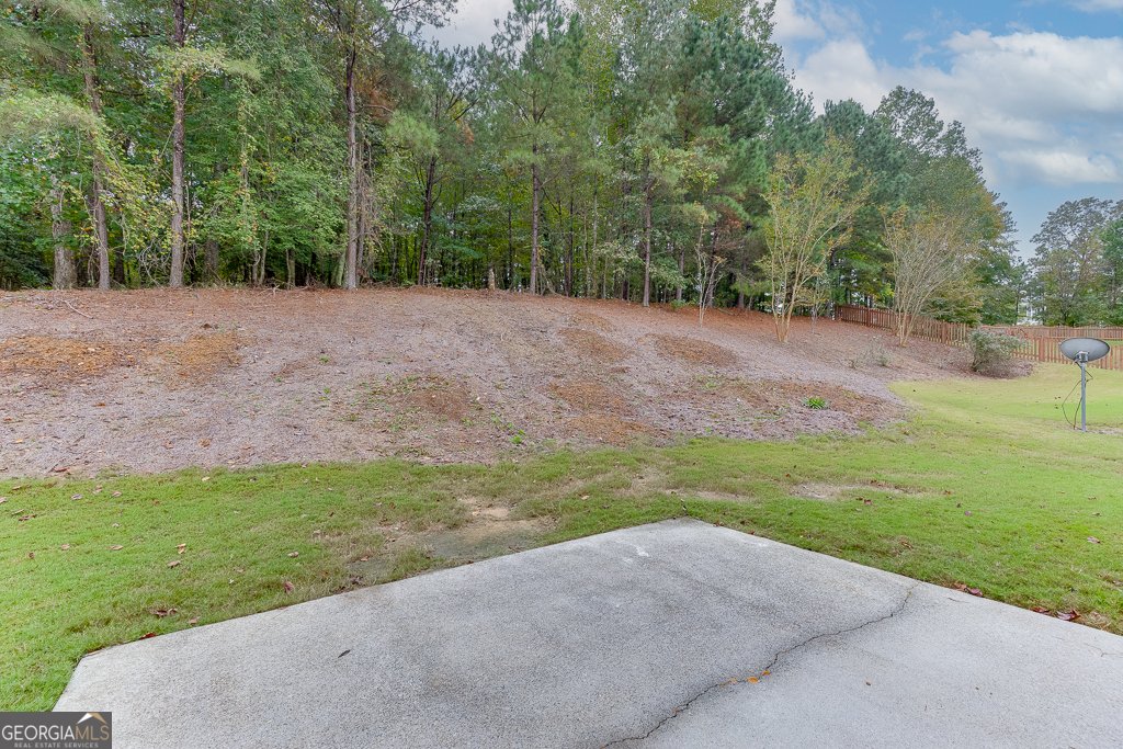 3265 Thimbleberry Trail Dacula - 29