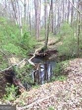 2860 Hickory Road Canton - 6