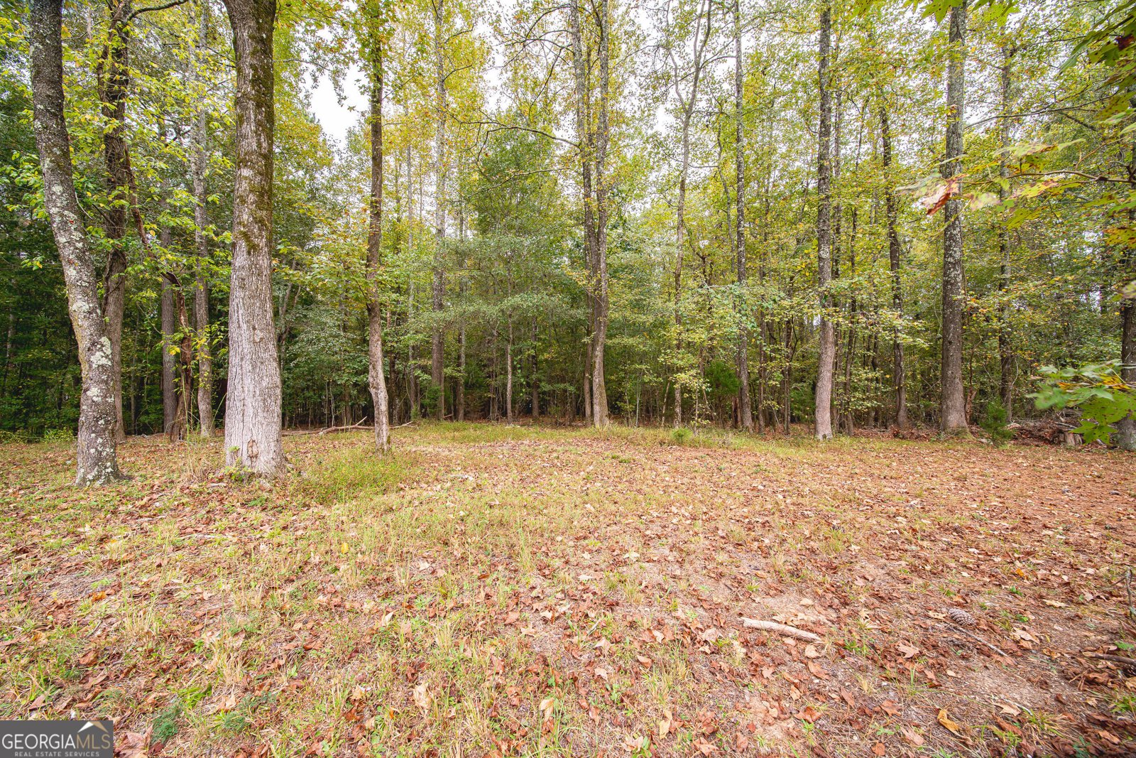 931 Jeff Davis Drive Fayetteville - 25