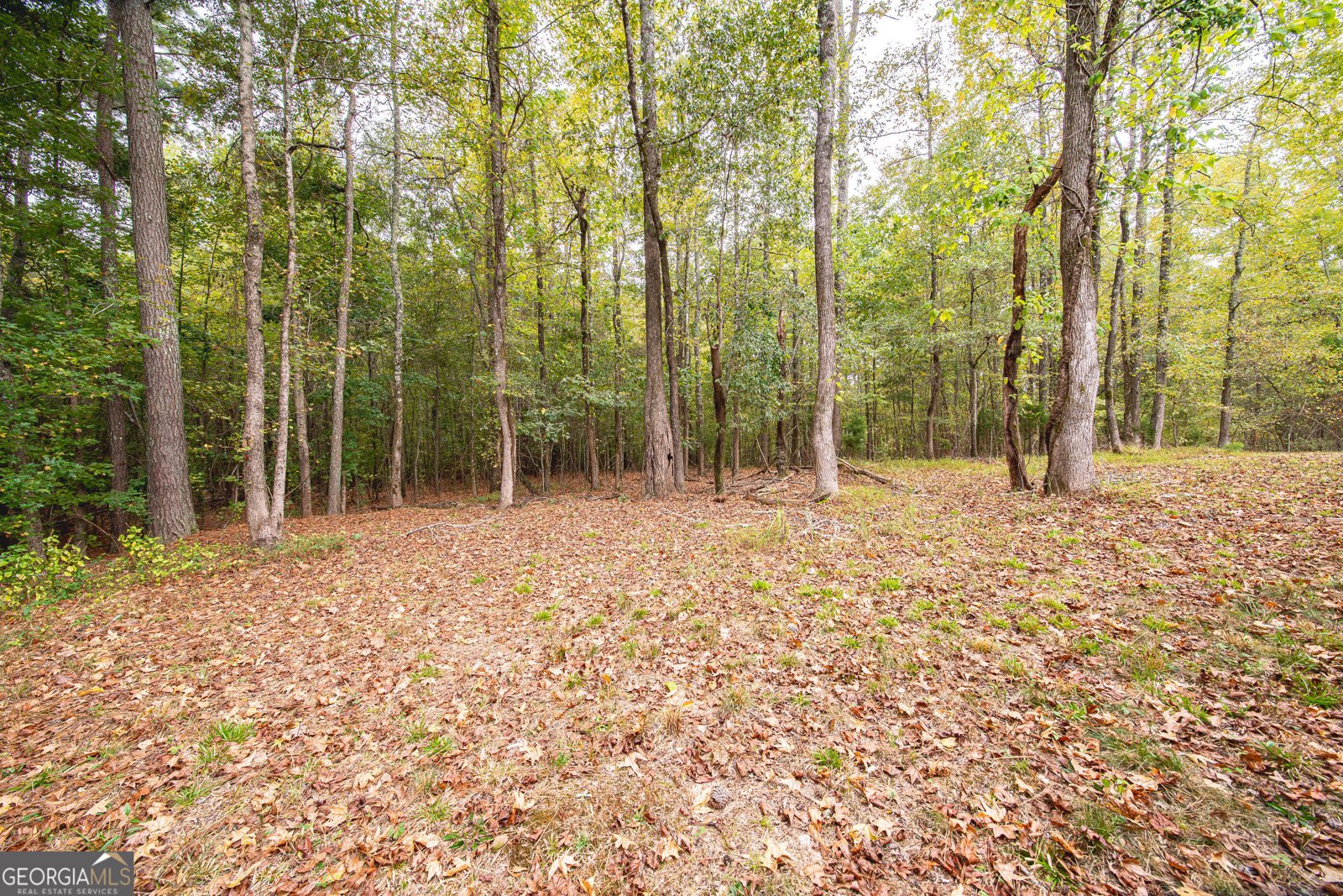 931 Jeff Davis Drive Fayetteville - 74