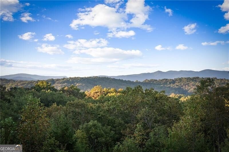 LOT 9A Sunrock Mountain Road Blue Ridge - 31