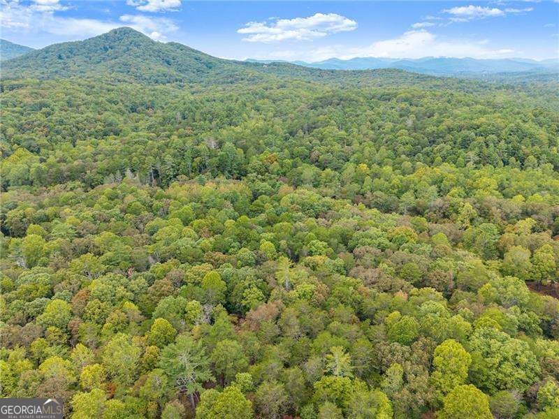 1076 Little Hawk Road Sautee Nacoochee - 5