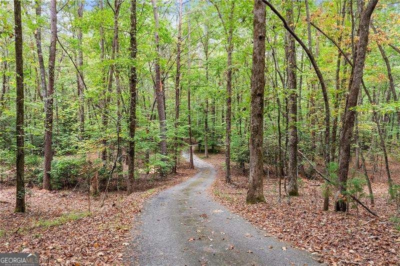 1076 Little Hawk Road Sautee Nacoochee - 7