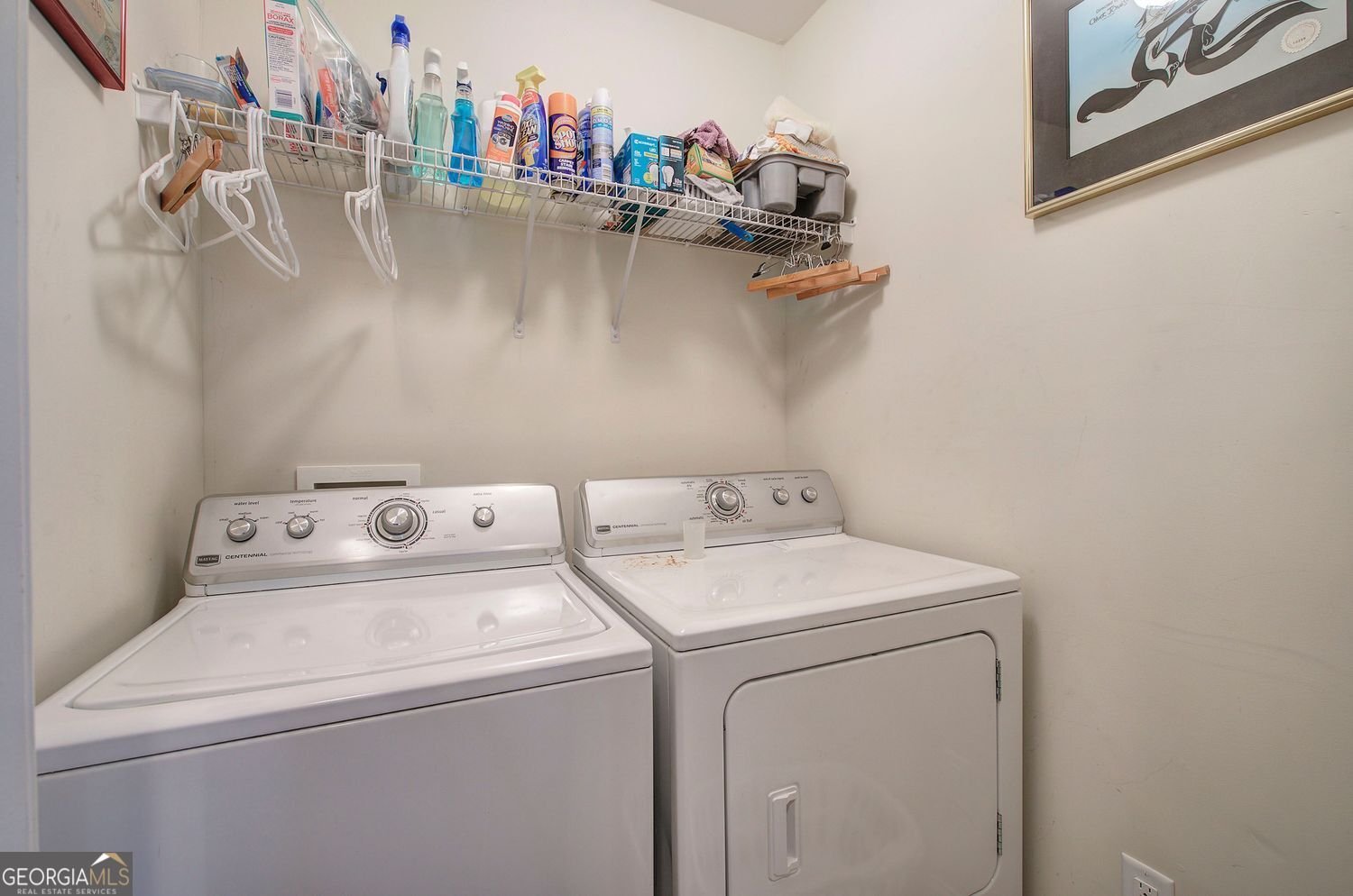 283 Villa Creek Parkway Canton - 20