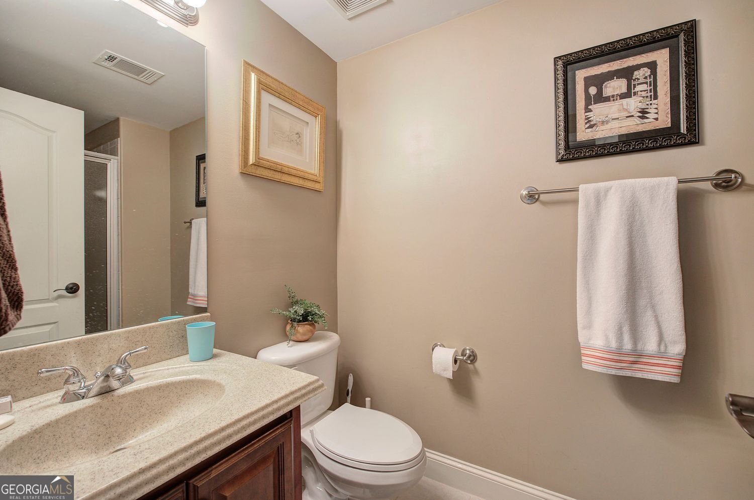 283 Villa Creek Parkway Canton - 32