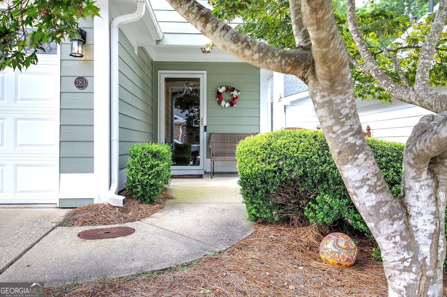 283 Villa Creek Parkway Canton - 4
