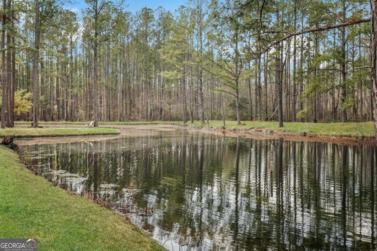 548 Sand Hill Road Brooklet - 31