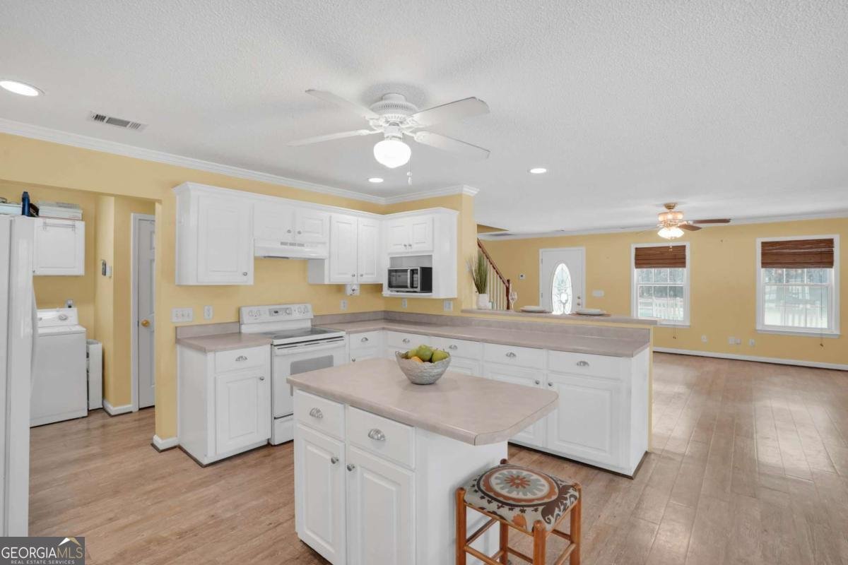 548 Sand Hill Road Brooklet - 5
