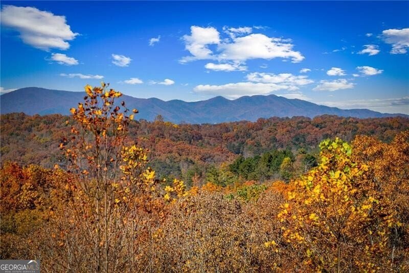 LOT 8A Sunrock Mountain Road Blue Ridge - 27
