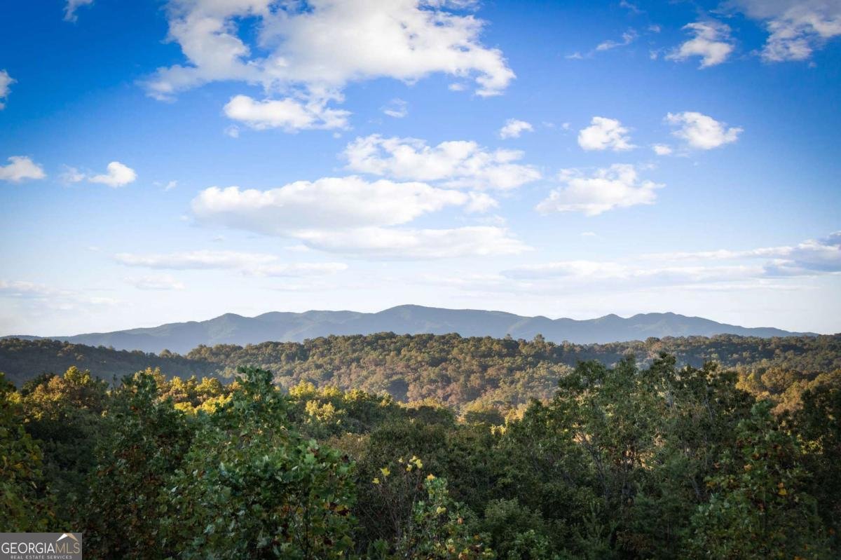 LOT 8A Sunrock Mountain Road Blue Ridge - 3