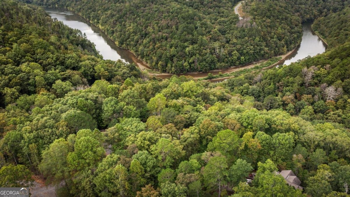 250 Noah Circle Ellijay - 21