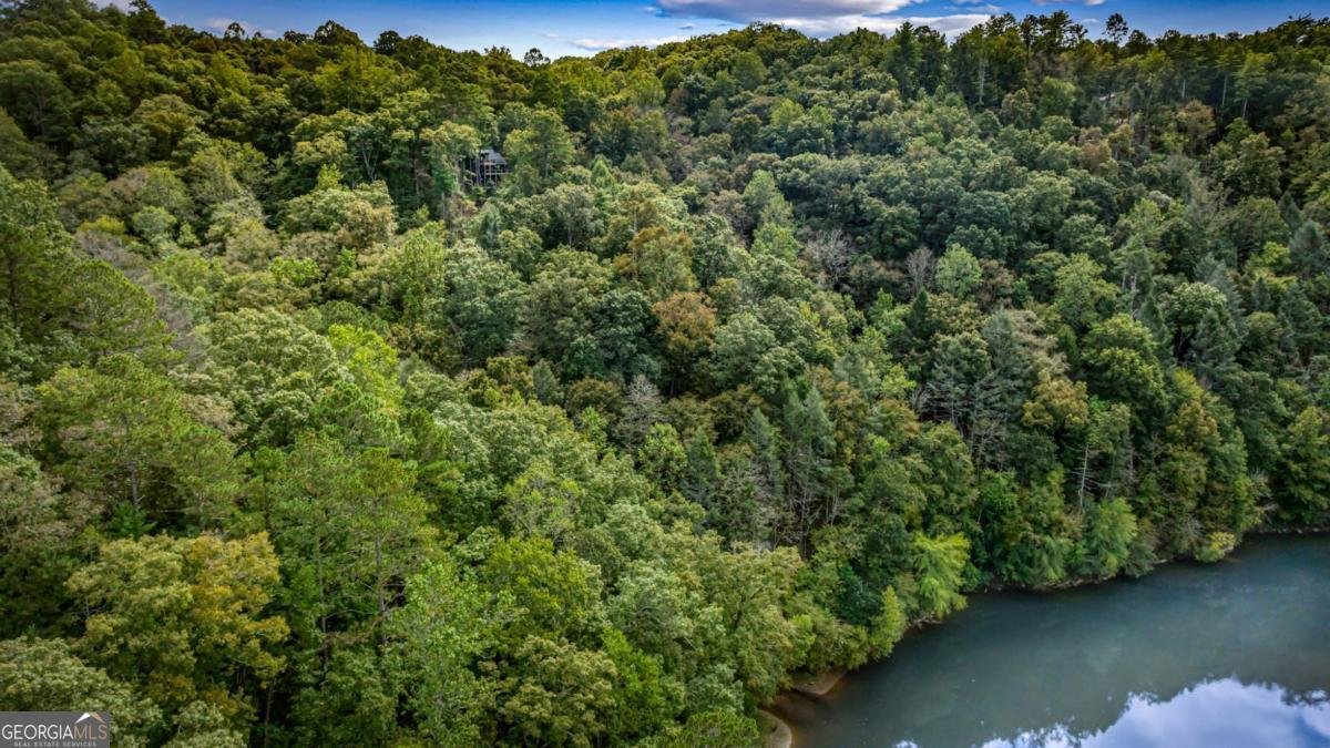 250 Noah Circle Ellijay - 22