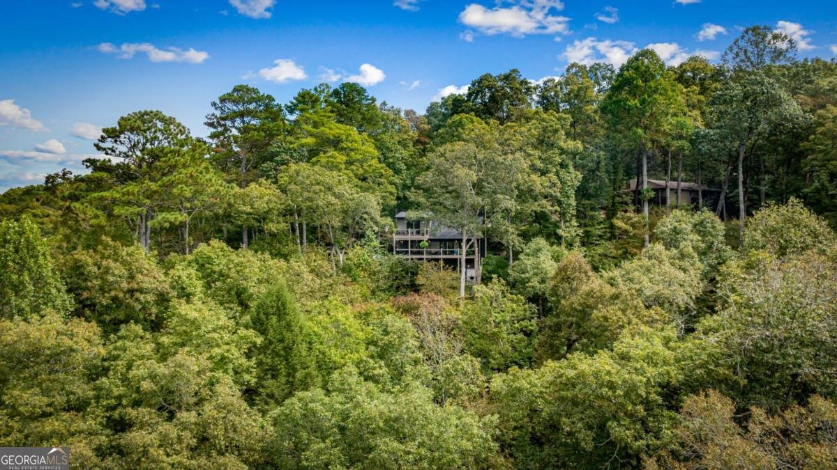 250 Noah Circle Ellijay - 24