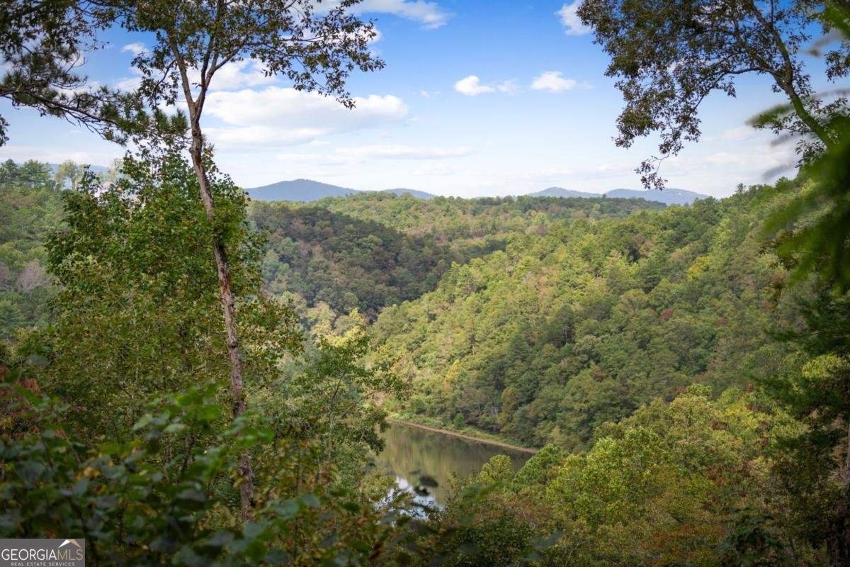 250 Noah Circle Ellijay - 28