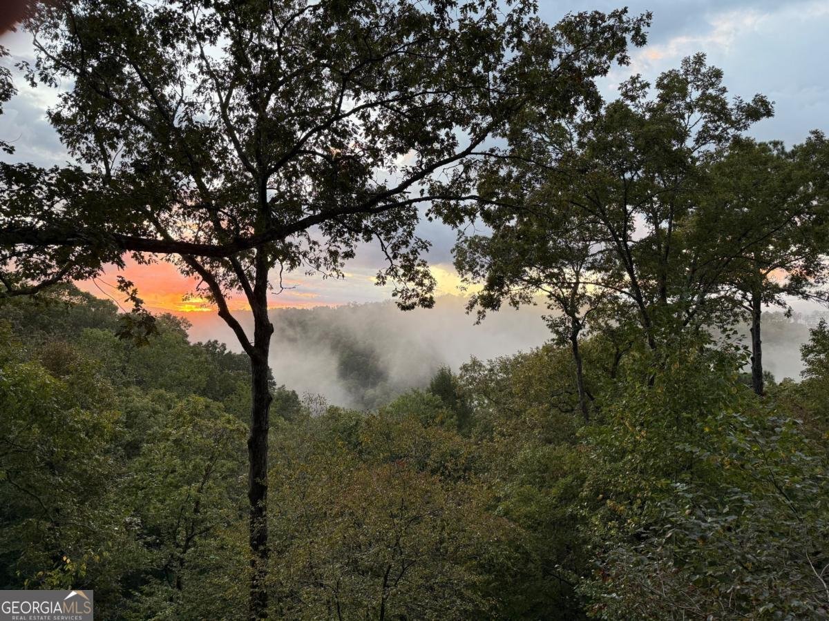 250 Noah Circle Ellijay - 31