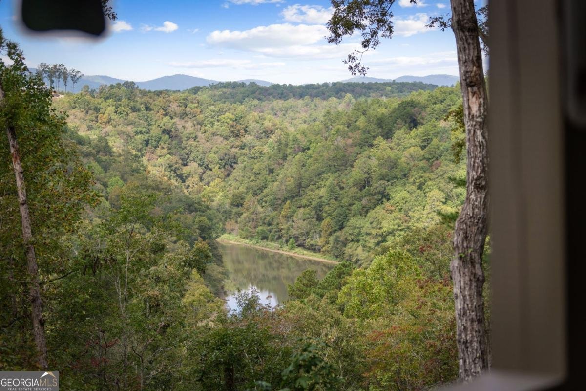 250 Noah Circle Ellijay - 53