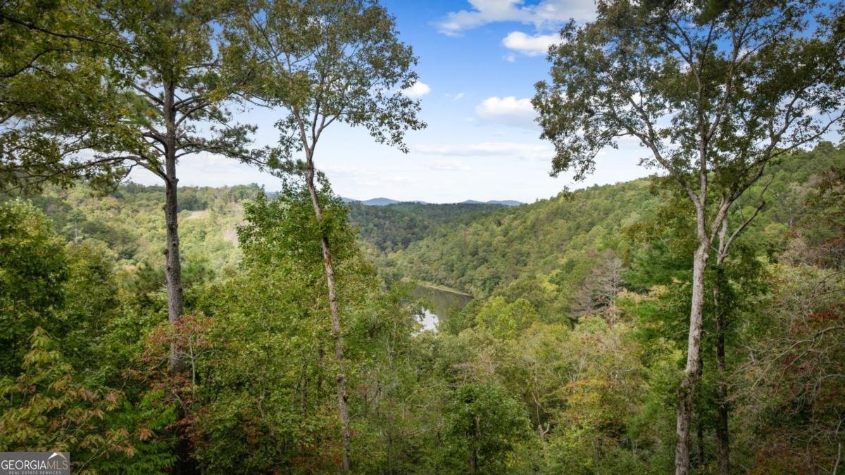 250 Noah Circle Ellijay - 59