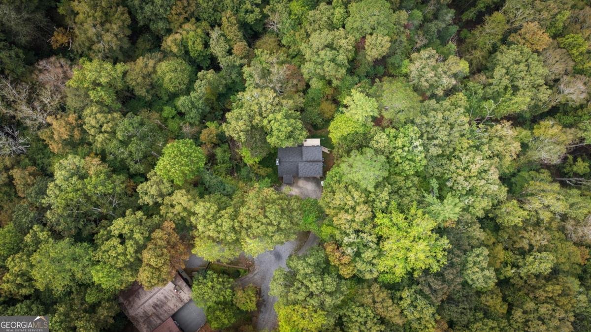 250 Noah Circle Ellijay - 61