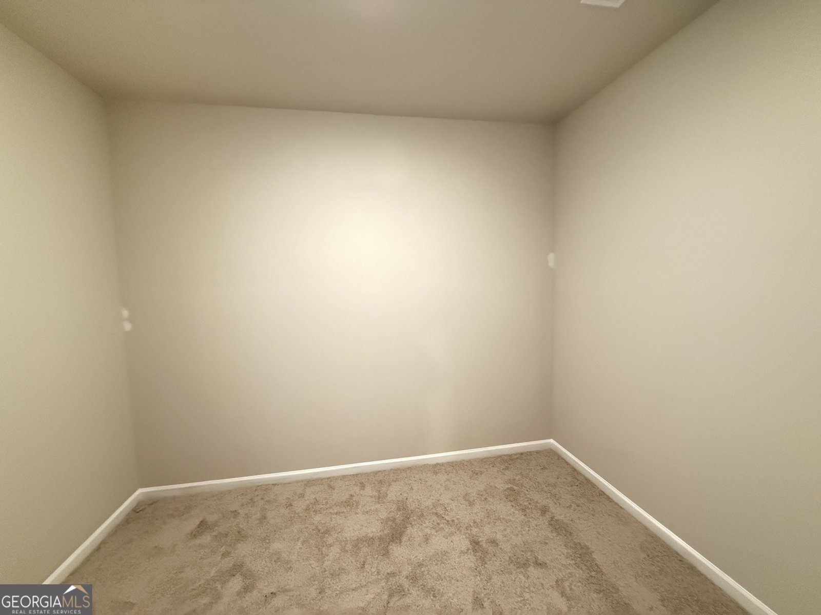 168 Piney Woods Drive Newnan - 19