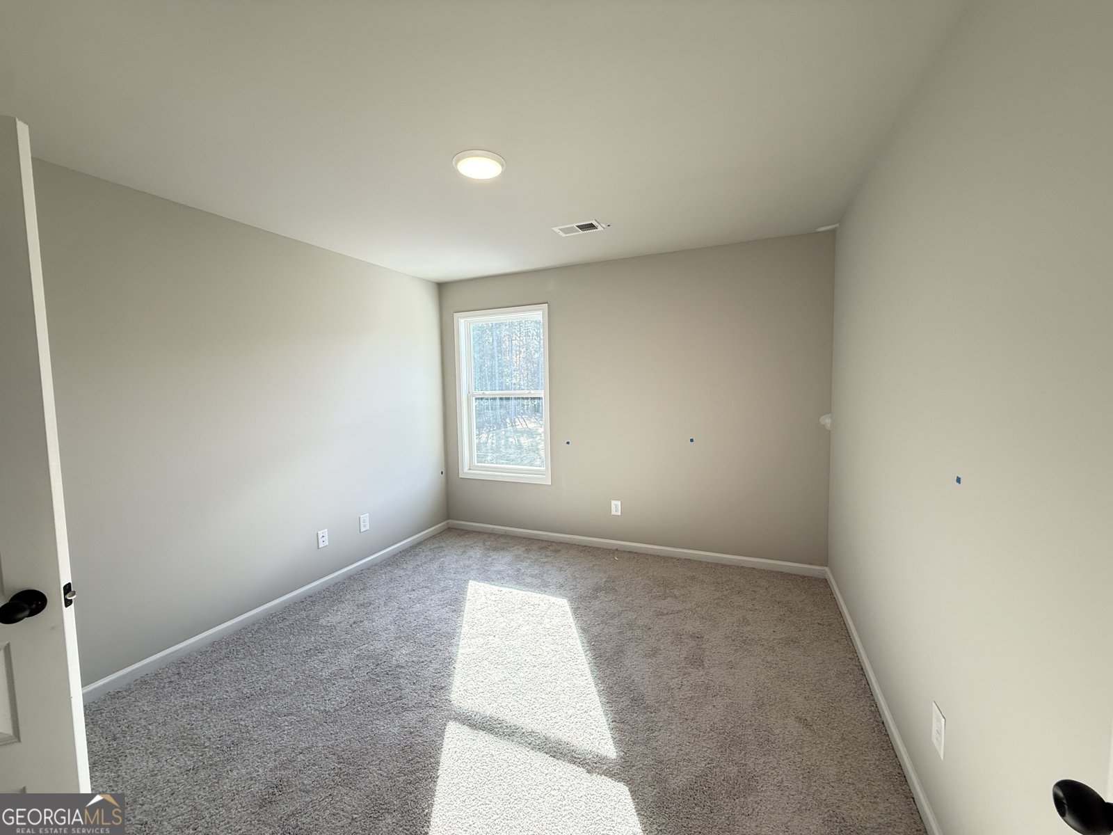 168 Piney Woods Drive Newnan - 23