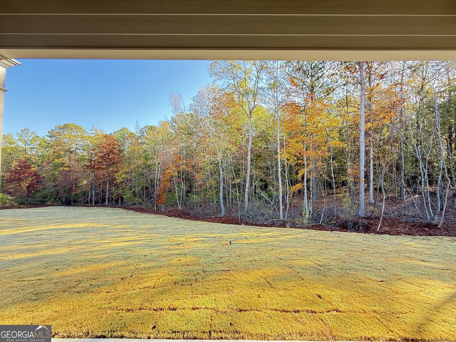 168 Piney Woods Drive Newnan - 28