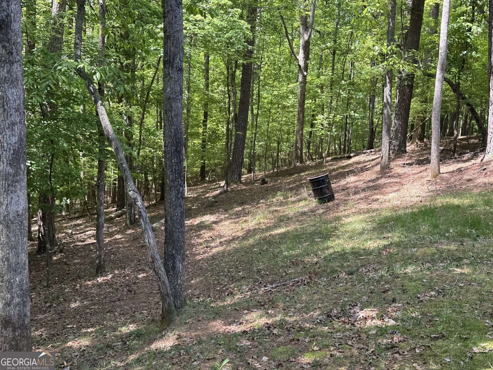 55 Monitor Drive Ellijay - Photo 29