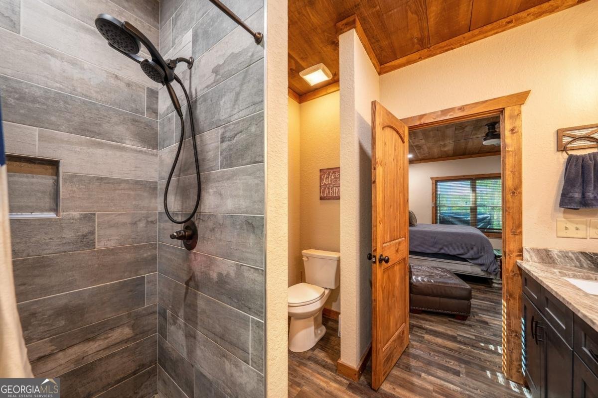 55 Monitor Drive Ellijay - 3