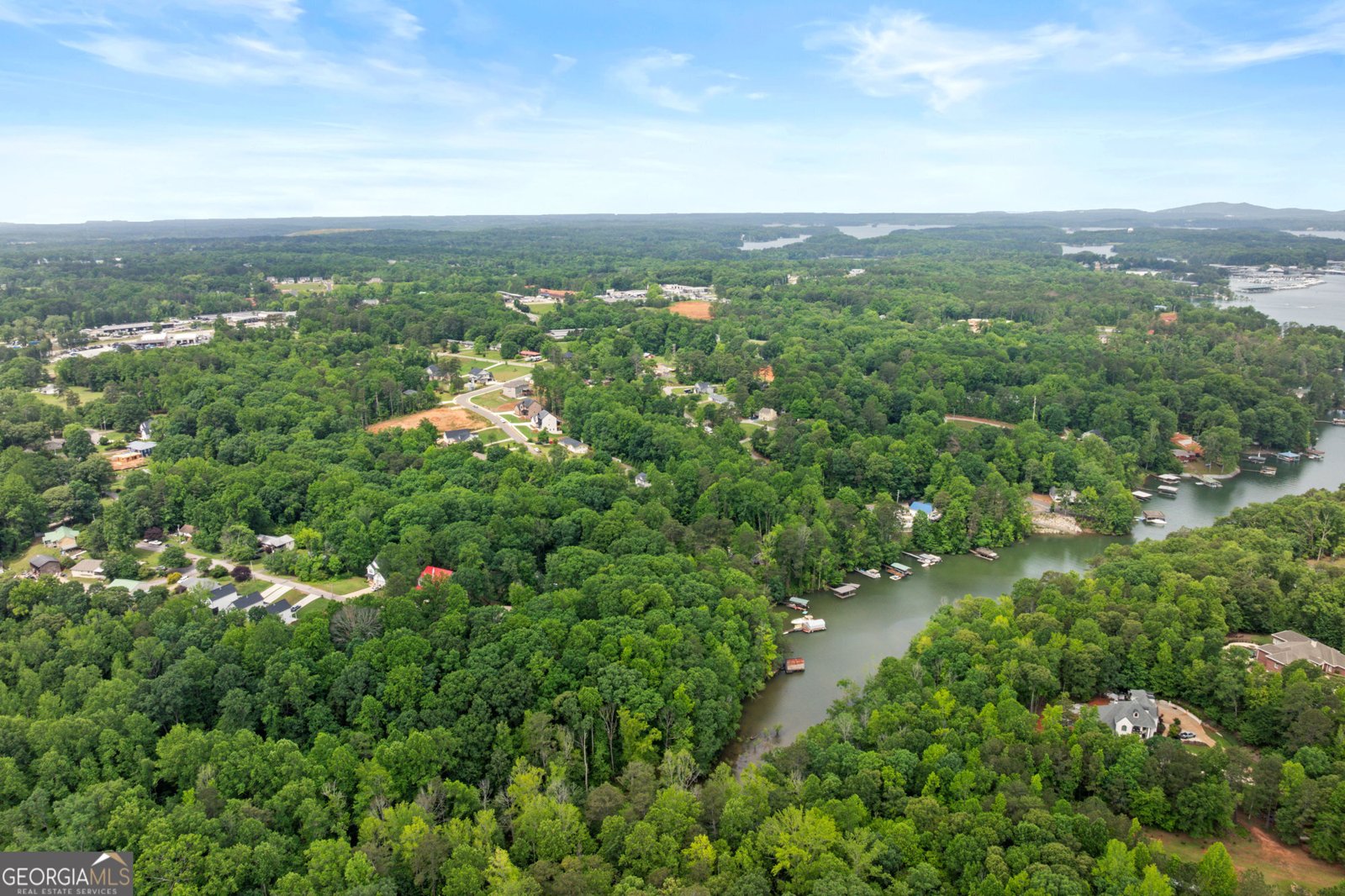 6132 Hutchins Drive Buford - 52