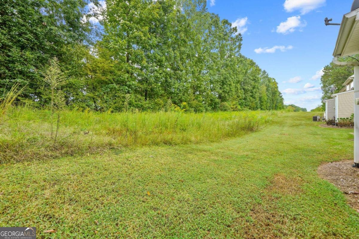 902 Tree Creek Boulevard Lawrenceville - 9