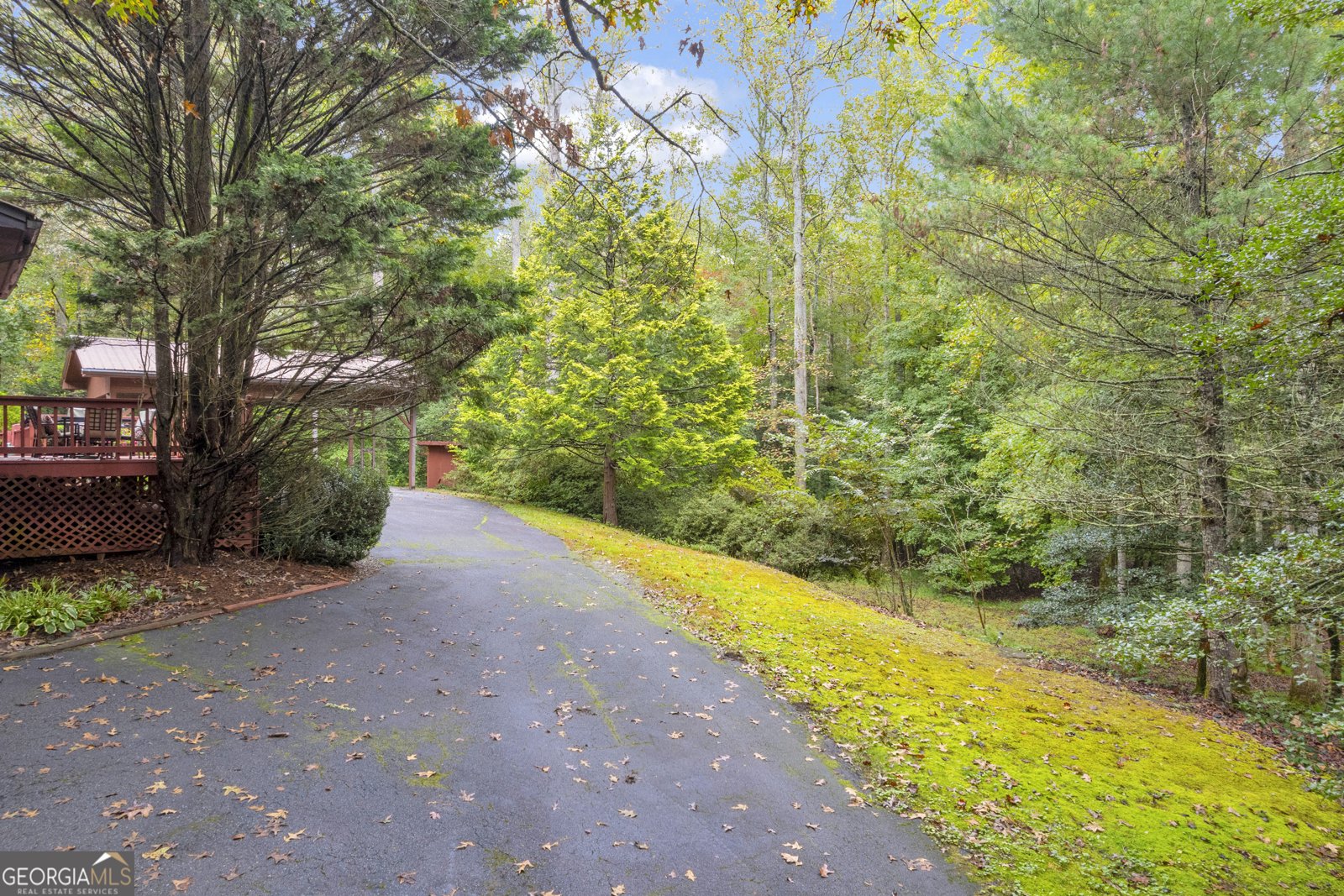 206 Apricot Drive Sautee Nacoochee - 1