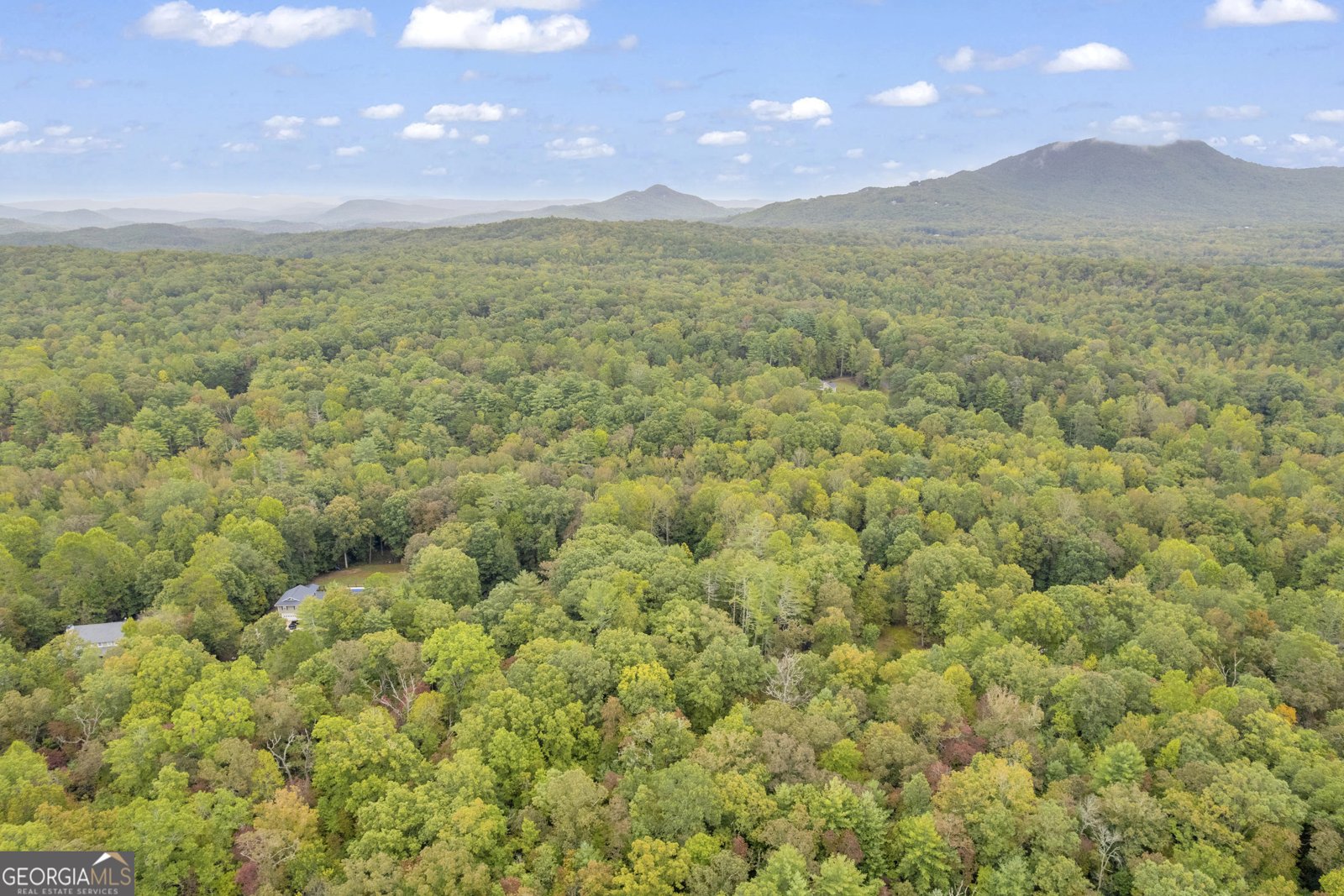 206 Apricot Drive Sautee Nacoochee - 12