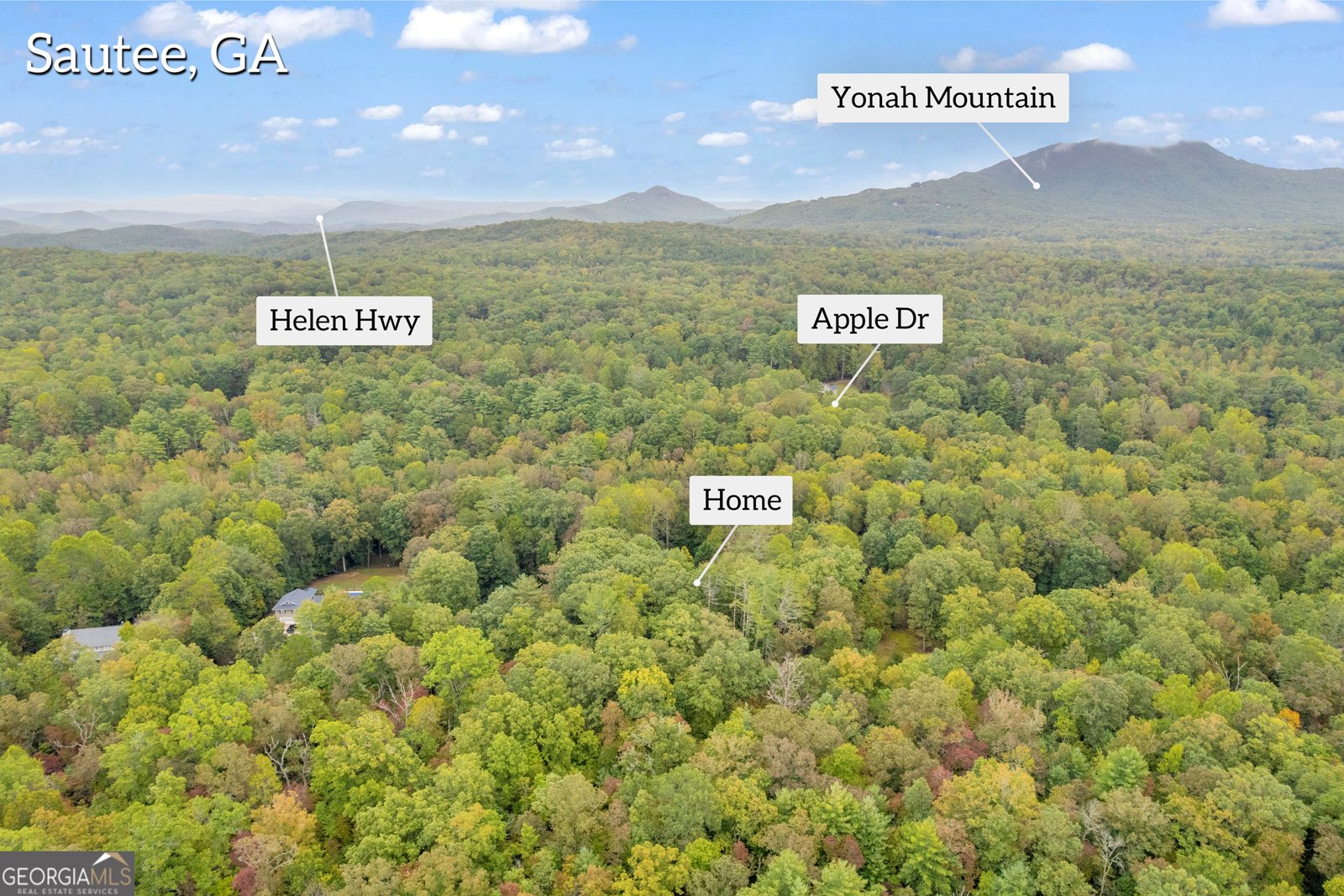 206 Apricot Drive Sautee Nacoochee - 13