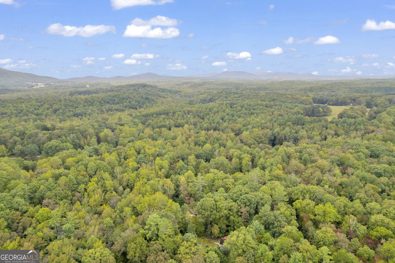 206 Apricot Drive Sautee Nacoochee - 17