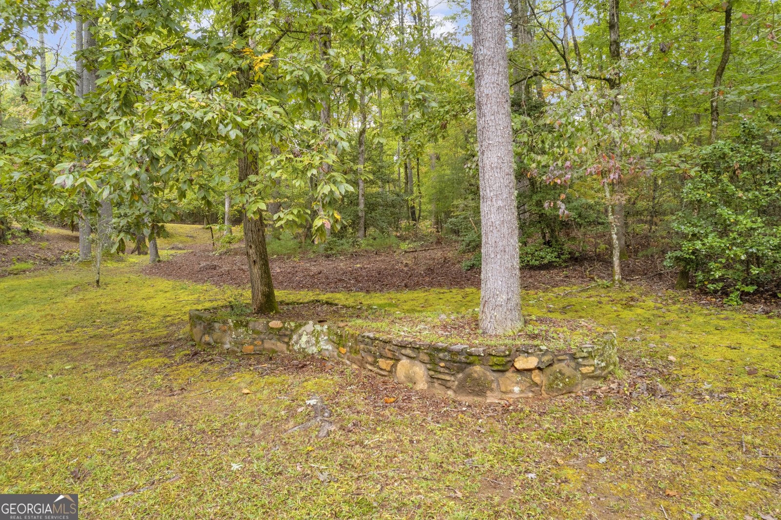 206 Apricot Drive Sautee Nacoochee - 3