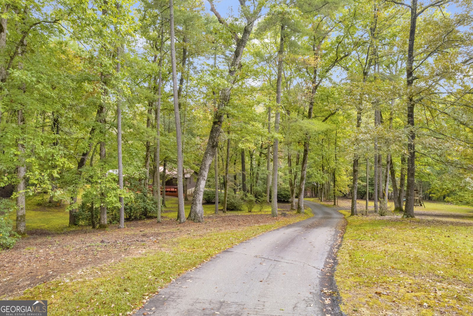 206 Apricot Drive Sautee Nacoochee - 6