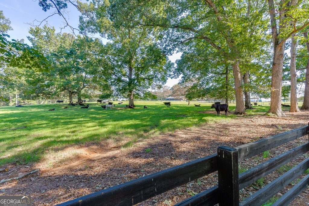 986 Austin Road Winder - 3