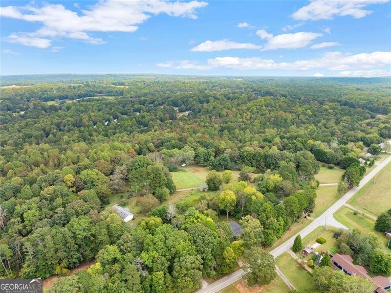6668 Belton Bridge Road Lula - 14