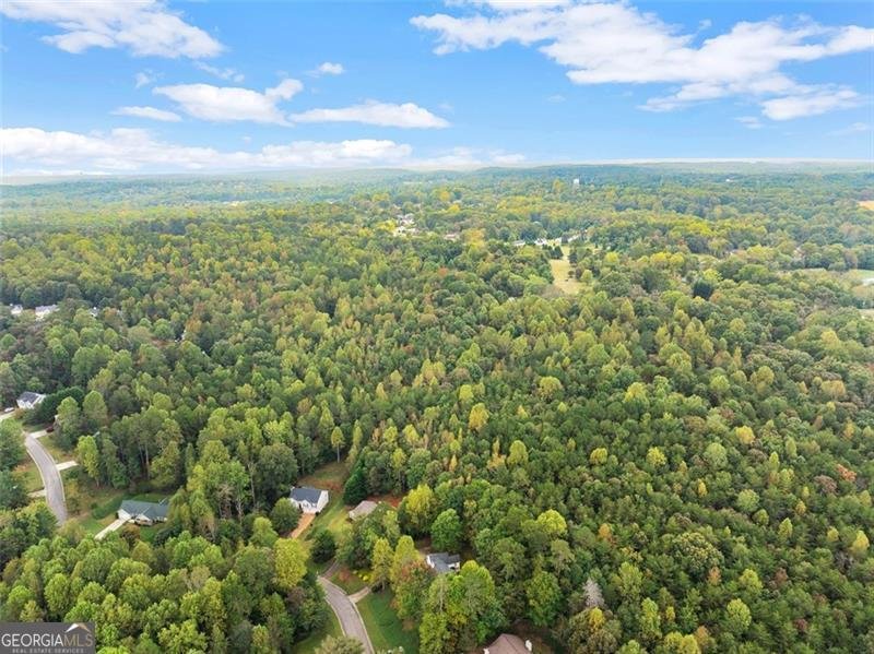 6668 Belton Bridge Road Lula - 16