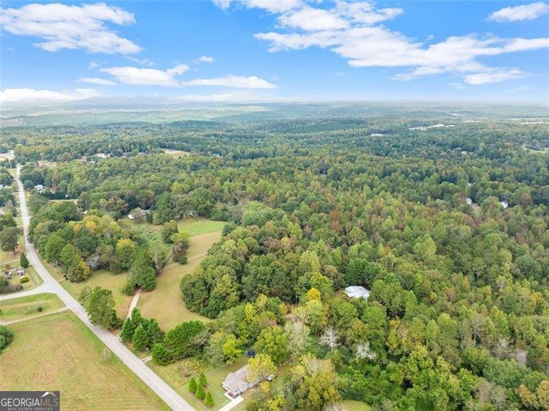 6668 Belton Bridge Road Lula - 22