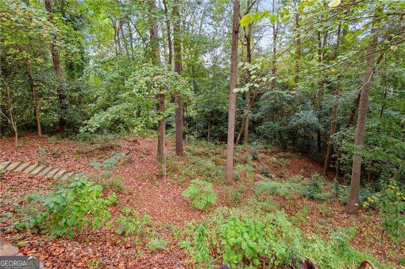 1719 Pine Ridge Drive Atlanta - 49
