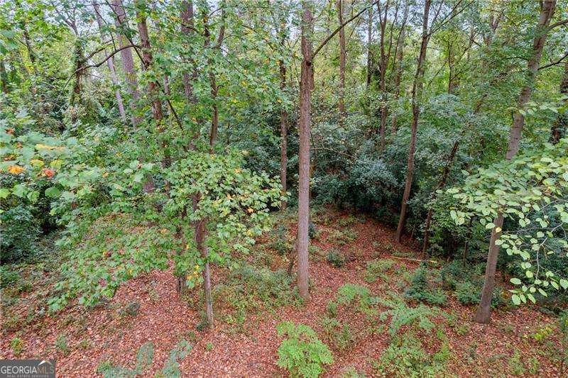 1719 Pine Ridge Drive Atlanta - 50