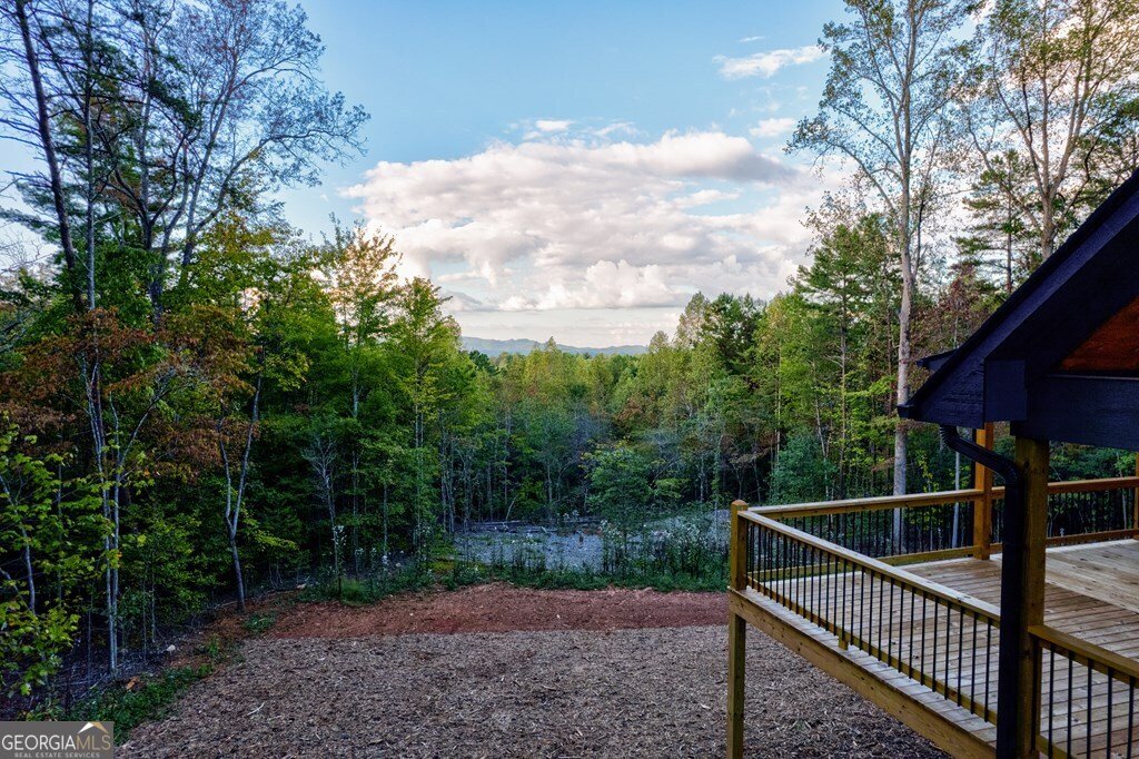 3448 Lickskillet Road Epworth - 48