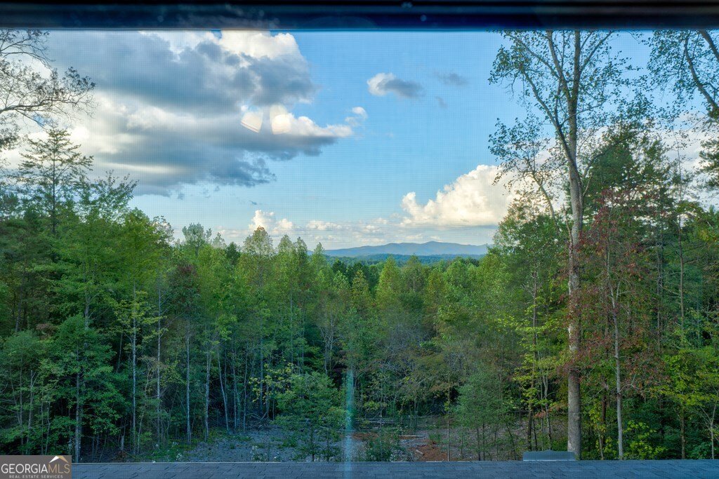 3448 Lickskillet Road Epworth - 57