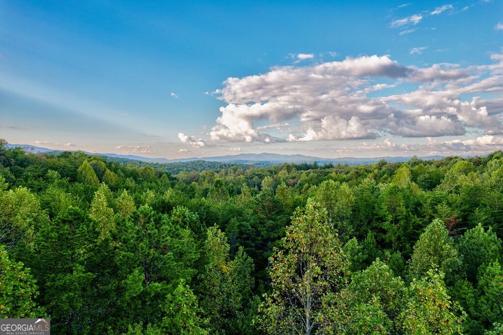 3448 Lickskillet Road Epworth - 58