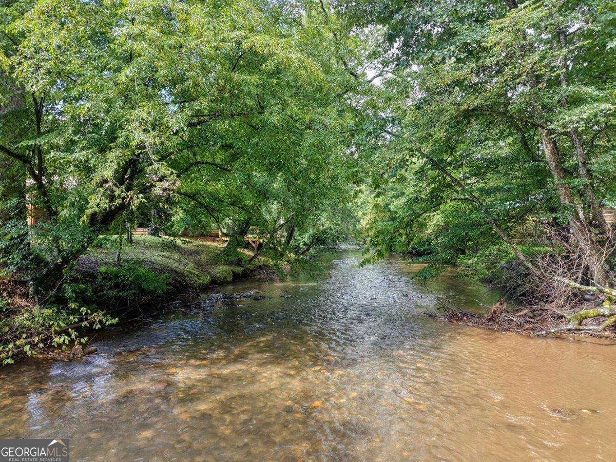 2171 Big Pine Drive Hiawassee - 47